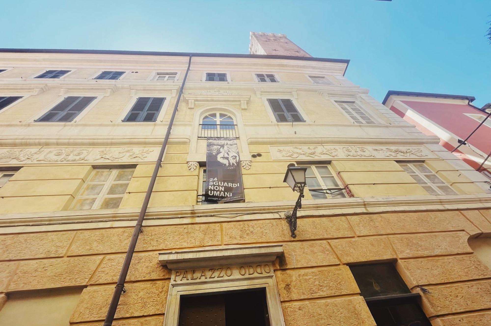 Palazzo Oddo Rental Rooms Albenga Bagian luar foto